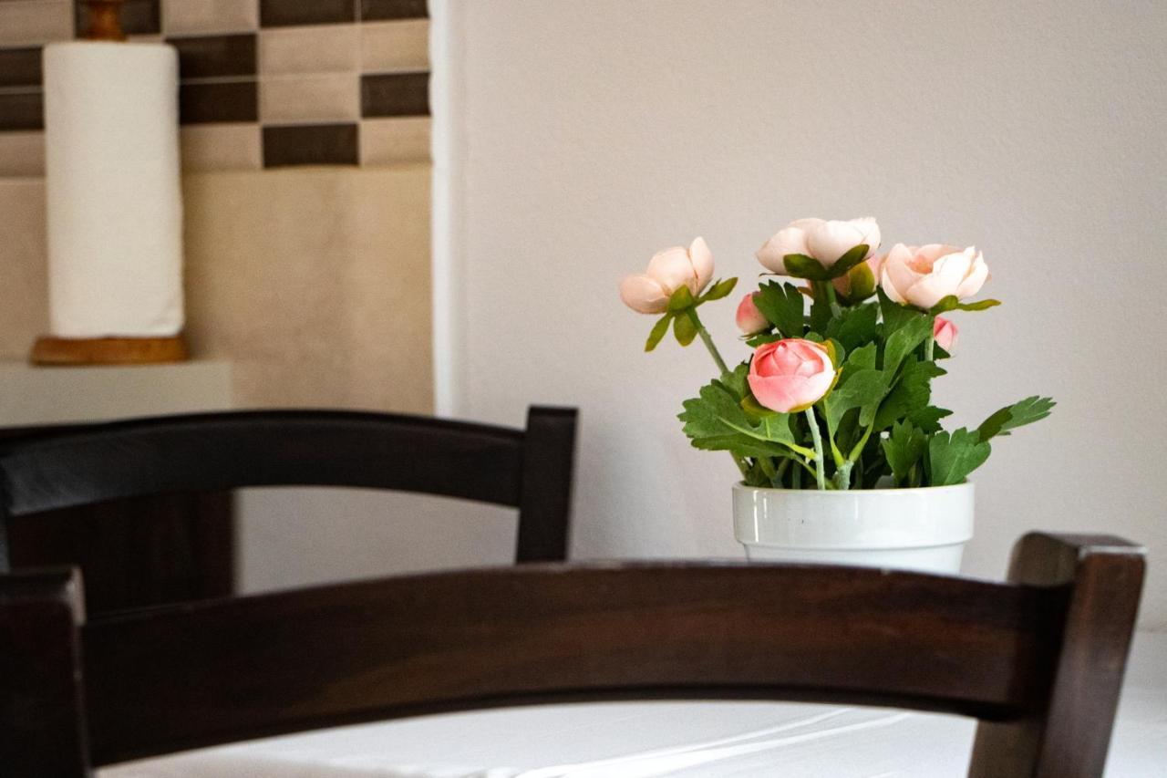 Casa Tofi Vendeghaz Aparthotel Praid Eksteriør bilde